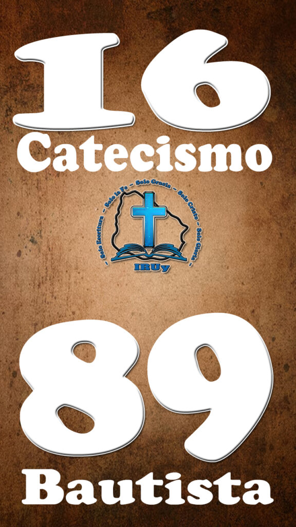 MCB1589
